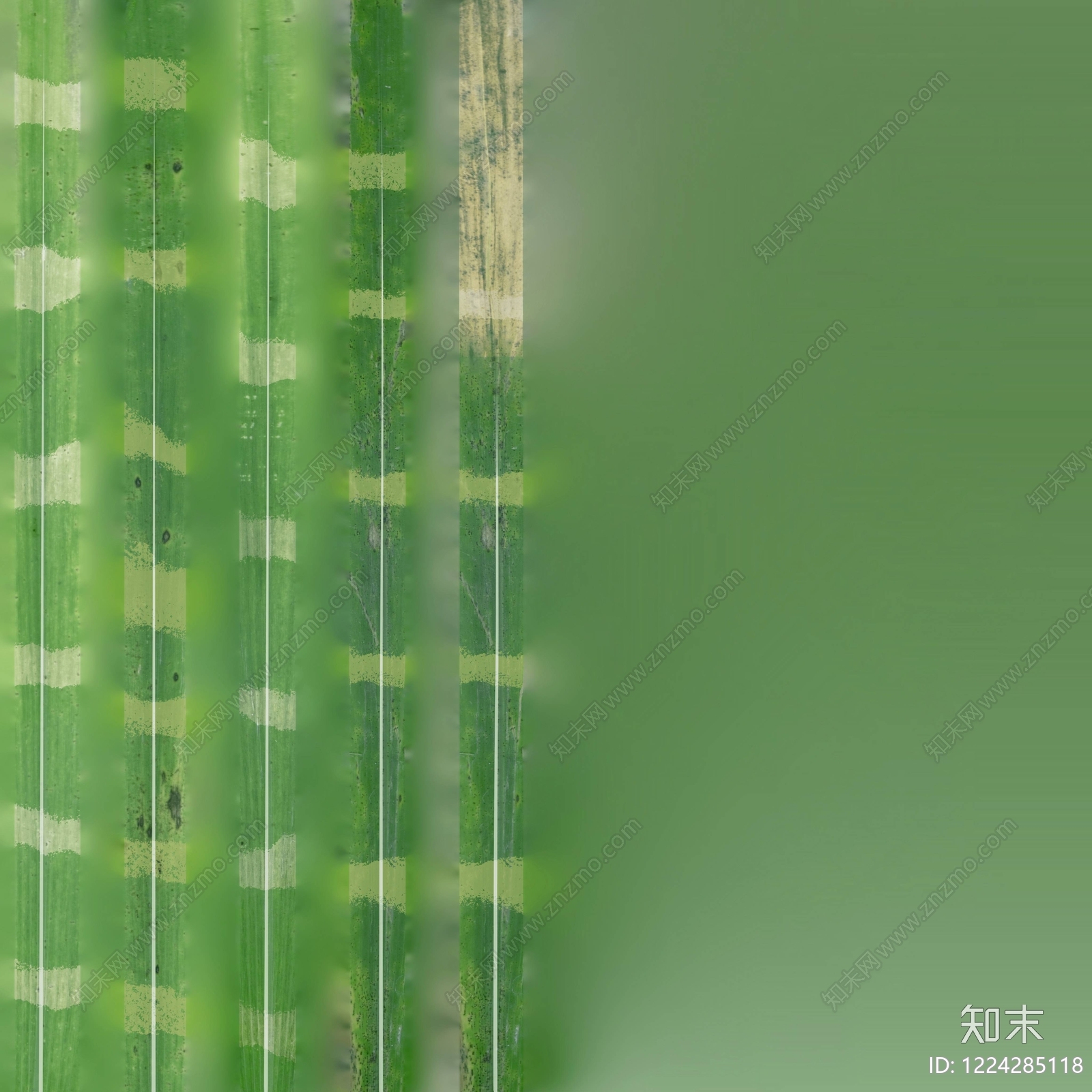 竹节纹理高清贴图材质