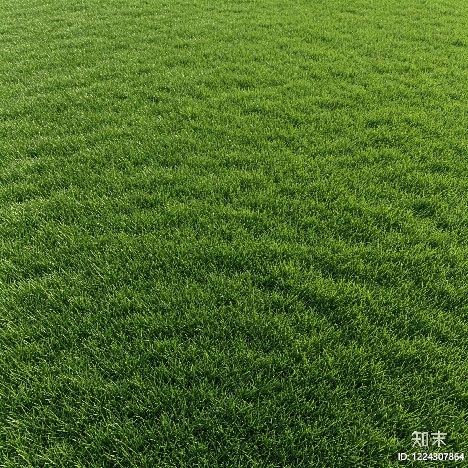 草地纹理高清贴图材质