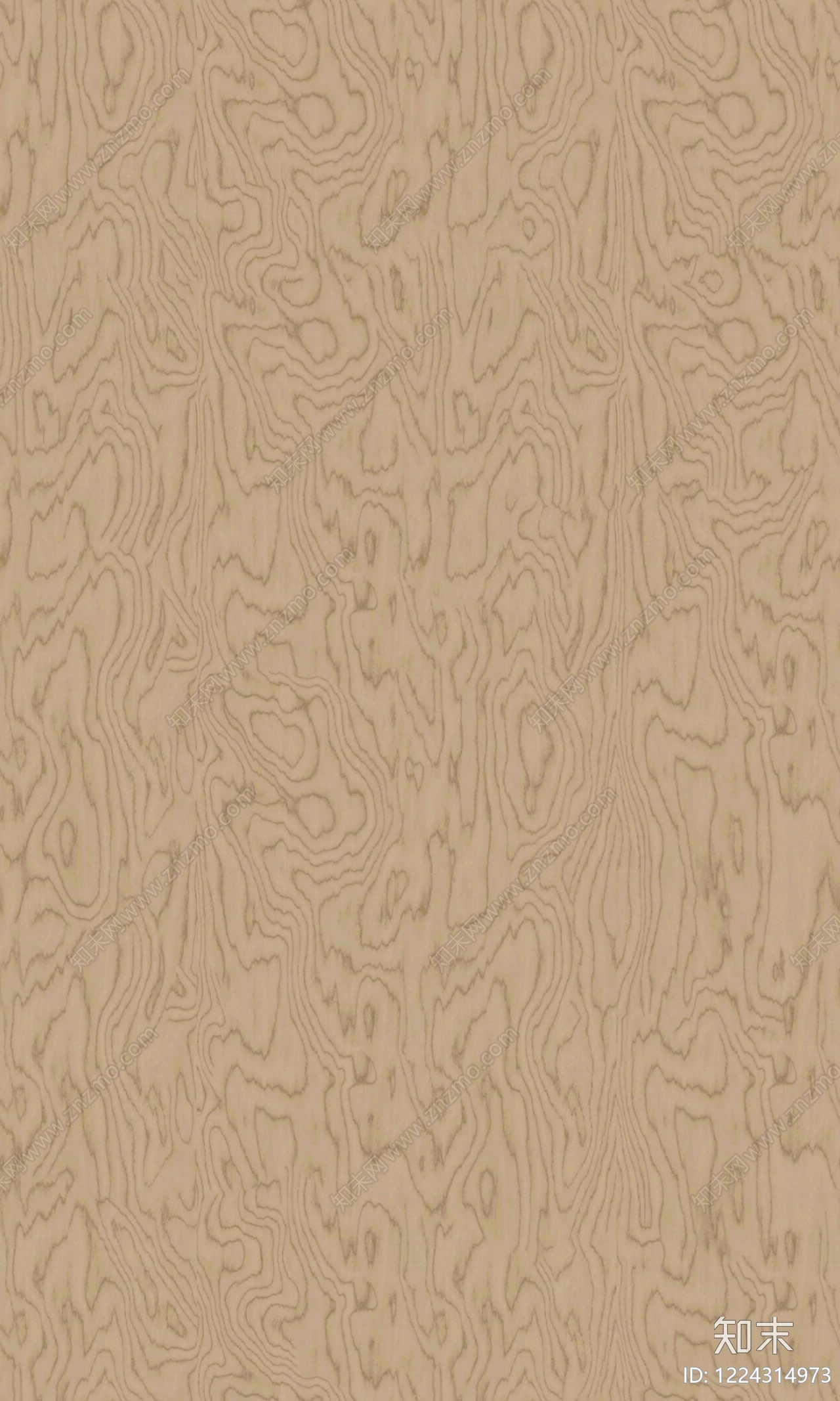 树瘤高清贴图材质