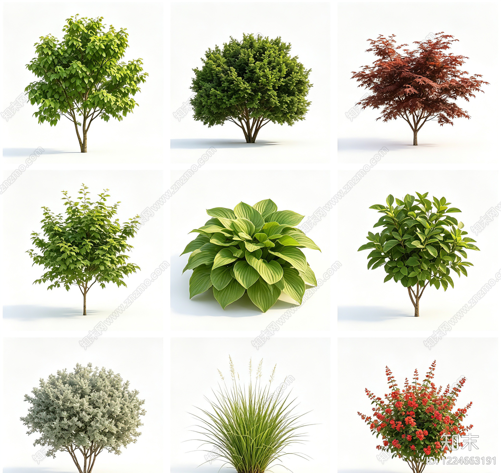 植被高清贴图材质