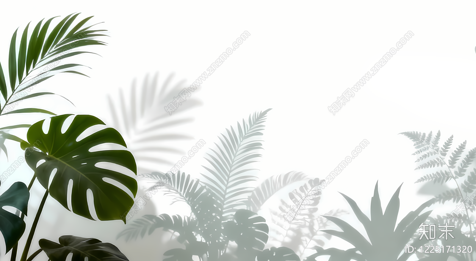 植被高清贴图材质