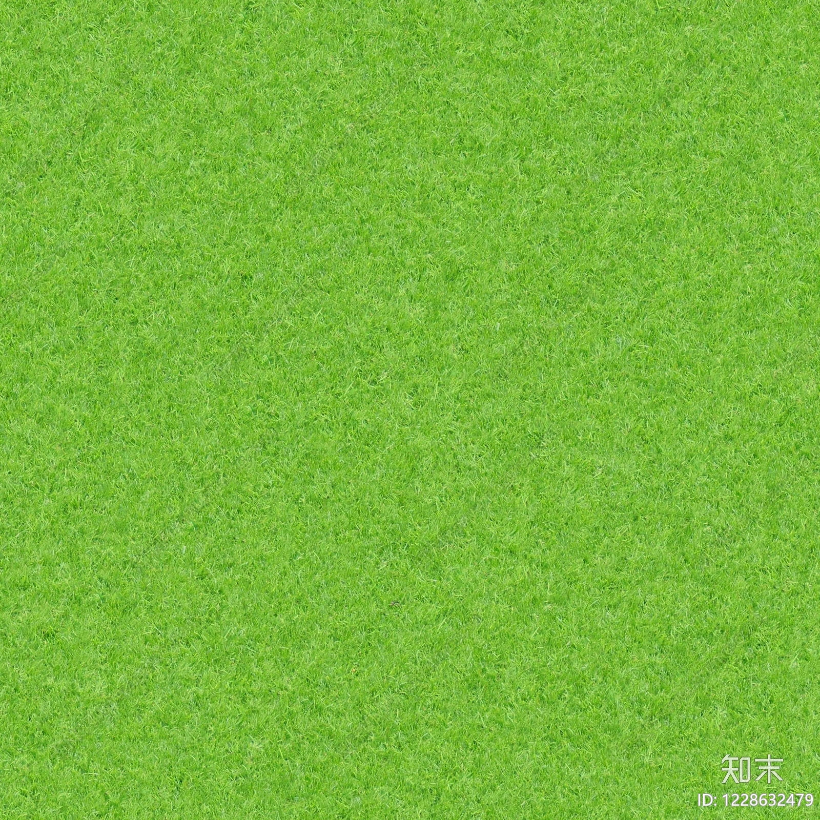 草地纹理高清贴图材质