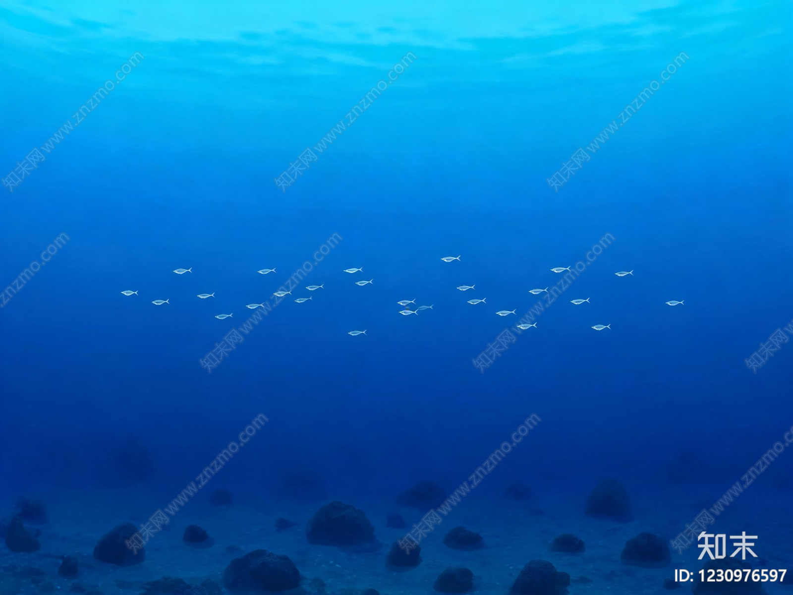 海洋高清贴图材质