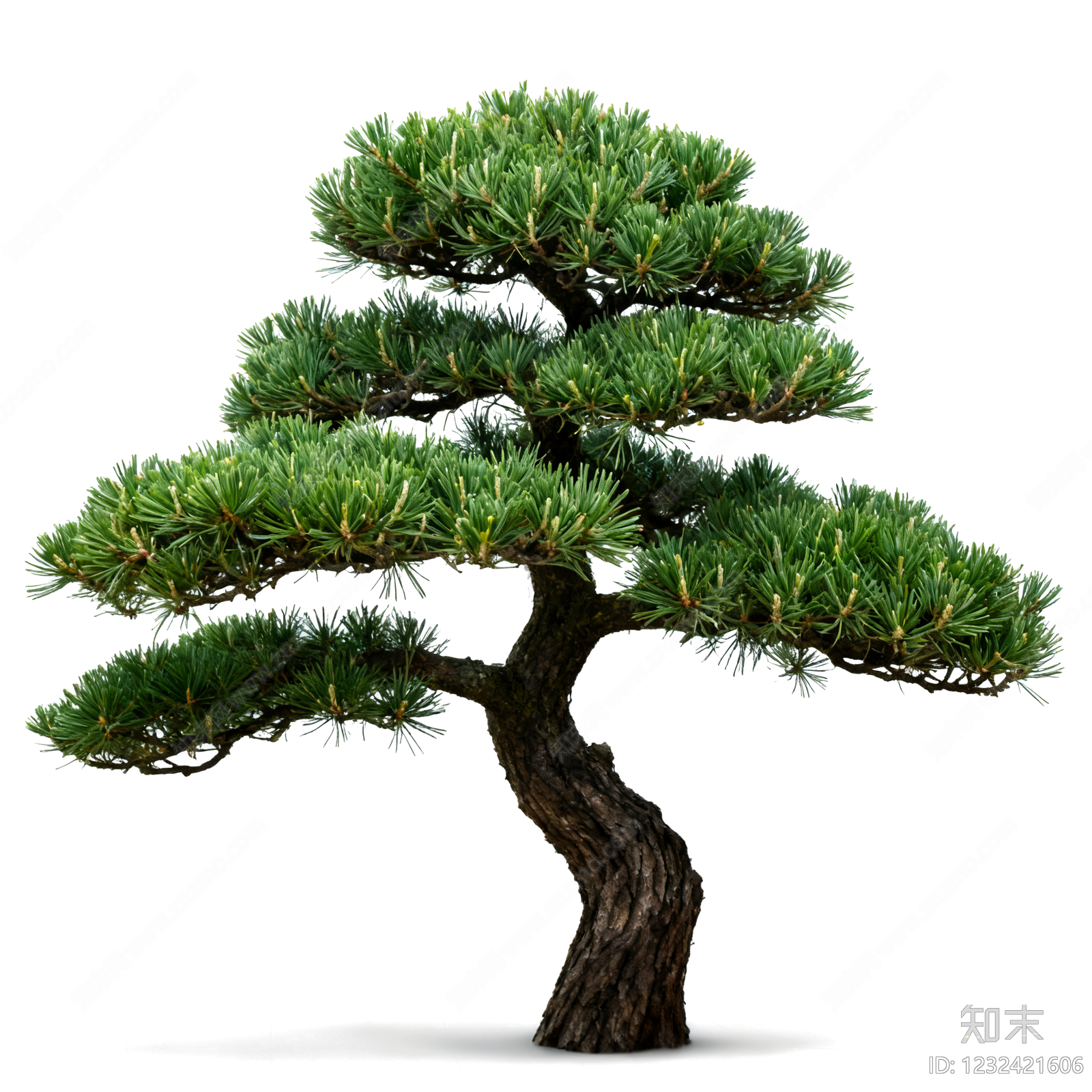 现代其它HDR贴图下载【ID:1232421606】