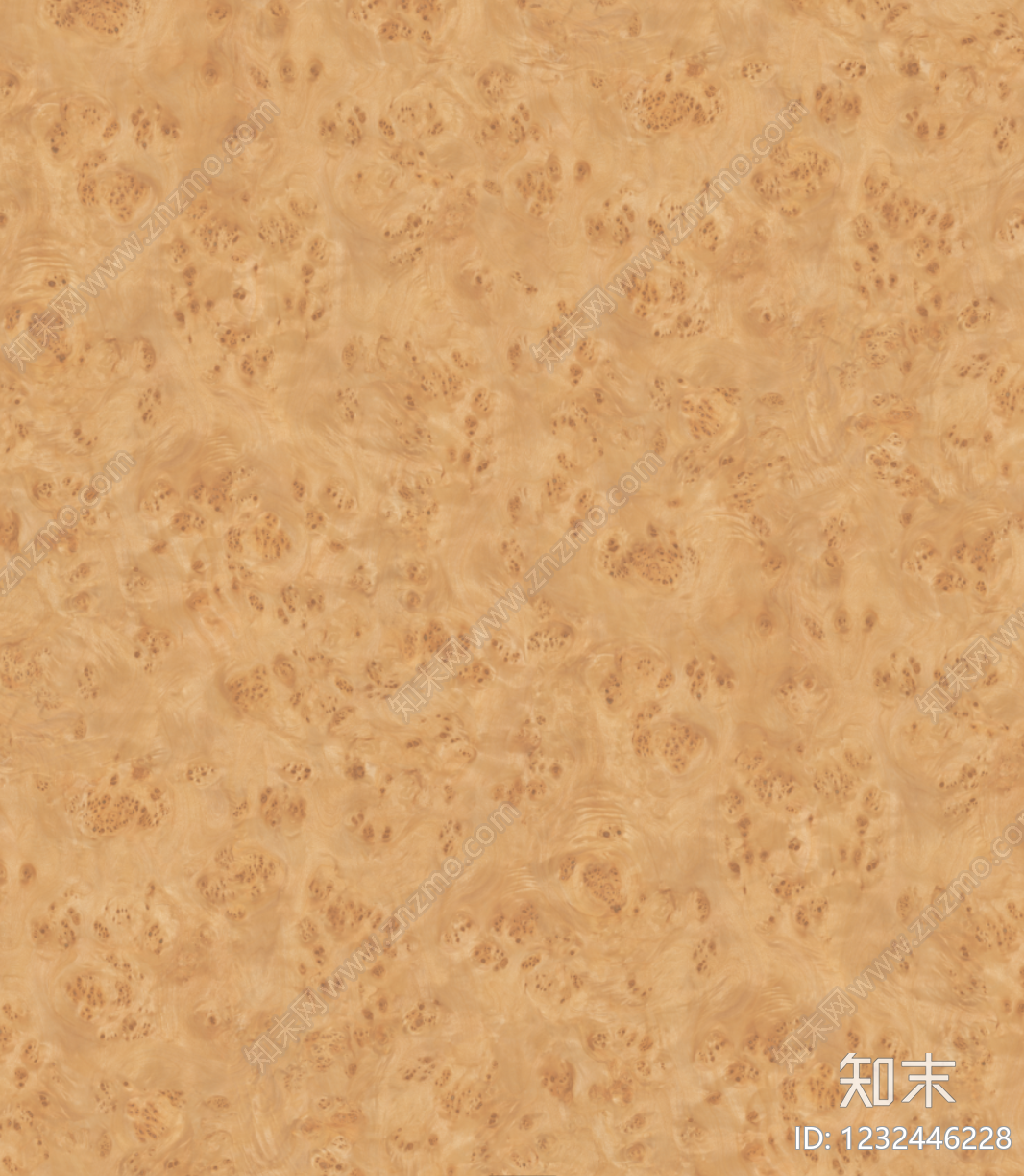 树瘤高清贴图材质