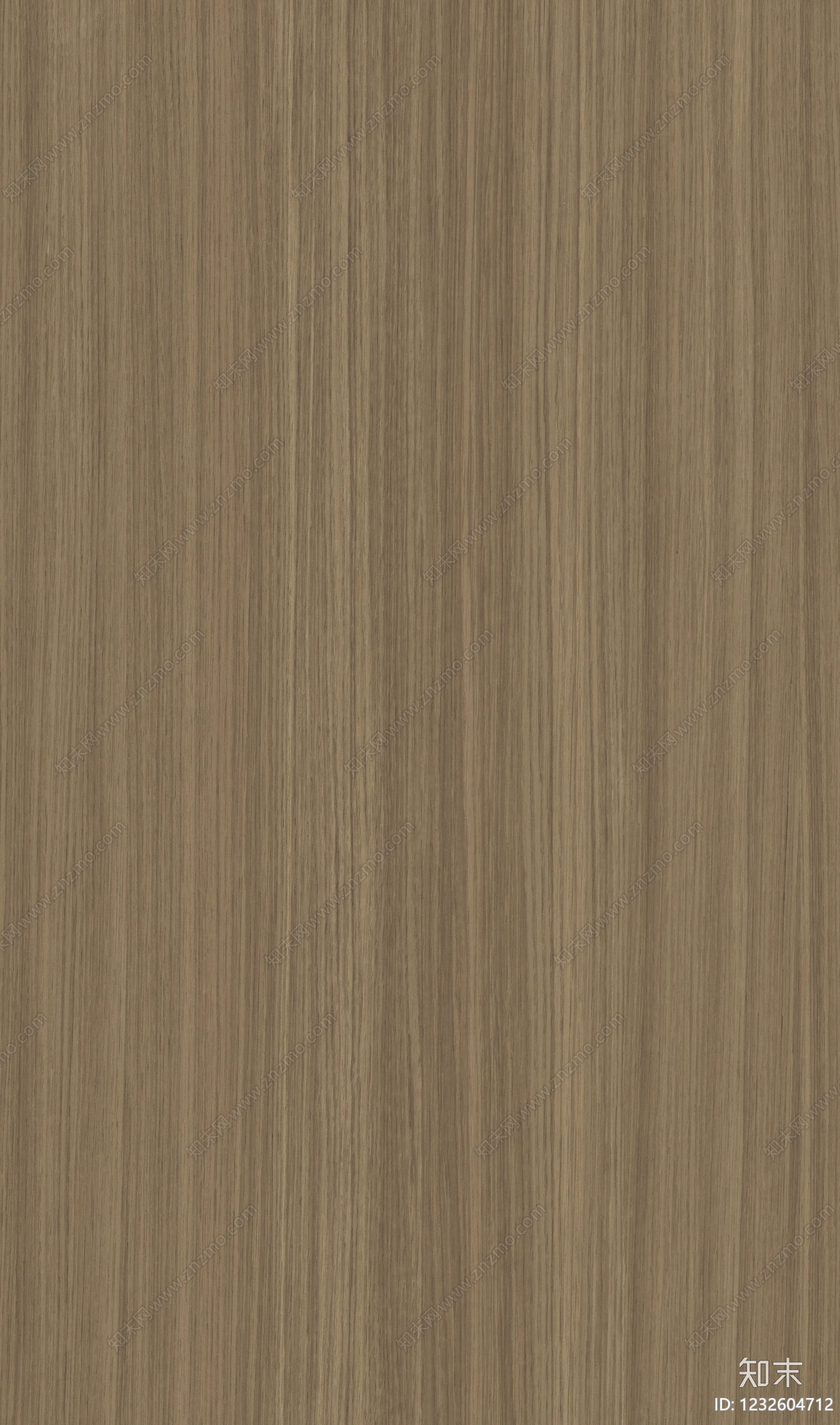 现代其他木纹贴图下载【ID:1232604712】