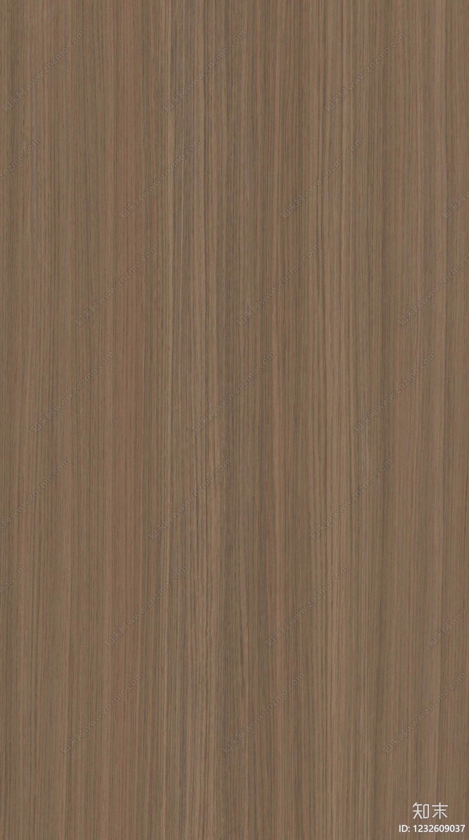 现代其他木纹贴图下载【ID:1232609037】