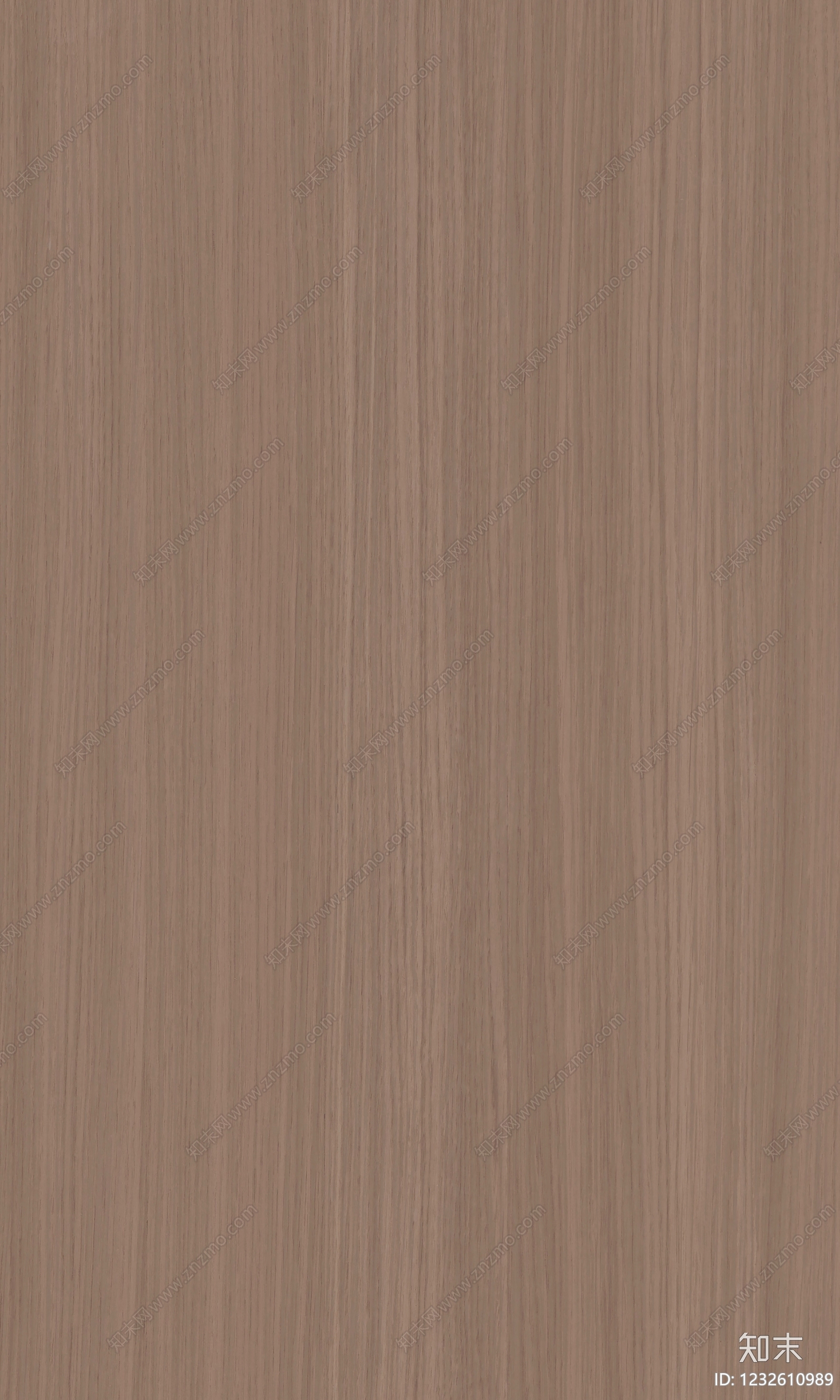现代其他木纹贴图下载【ID:1232610989】