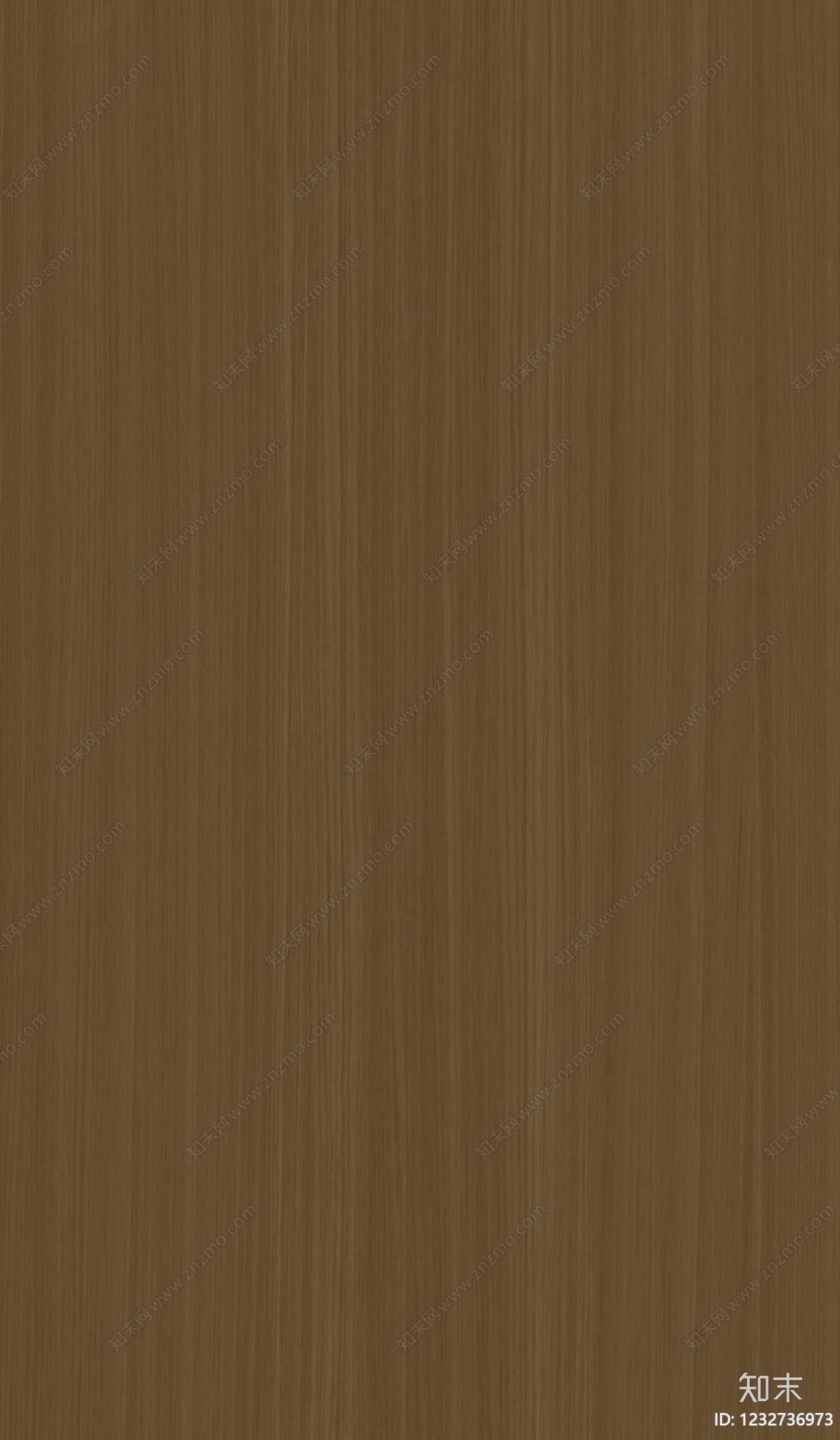 现代其他木纹贴图下载【ID:1232736973】