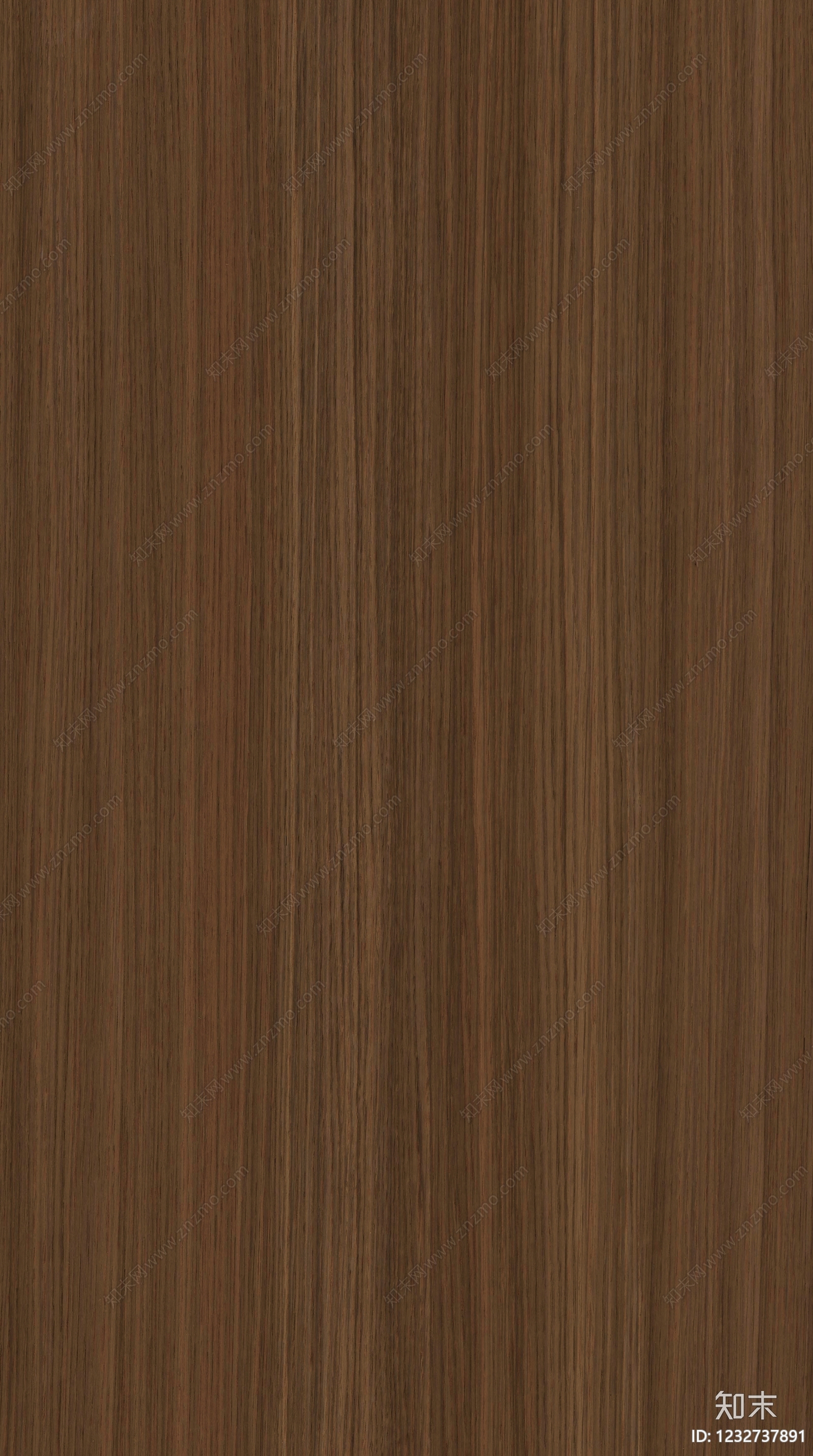 现代其他木纹贴图下载【ID:1232737891】