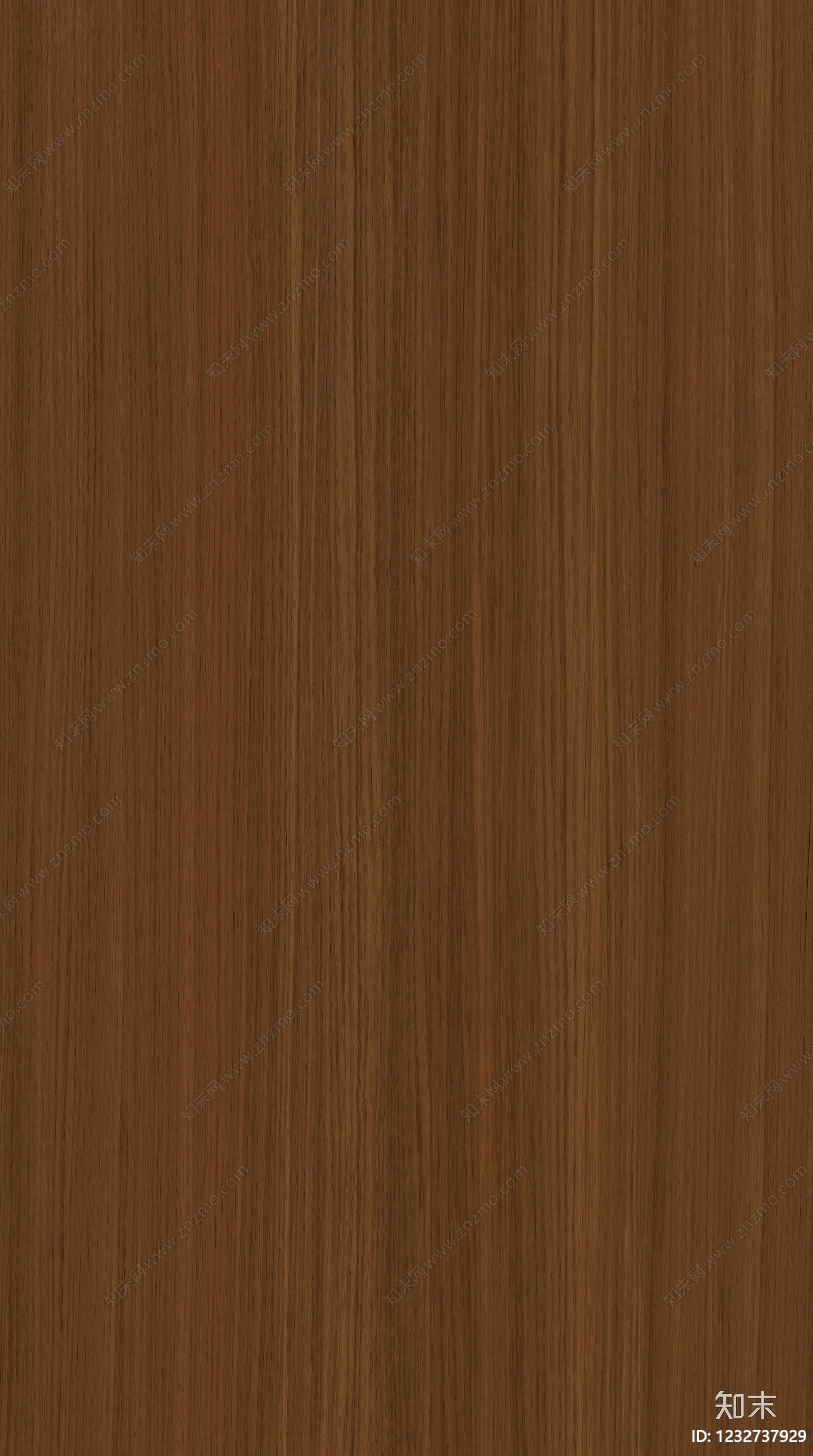 现代其他木纹贴图下载【ID:1232737929】