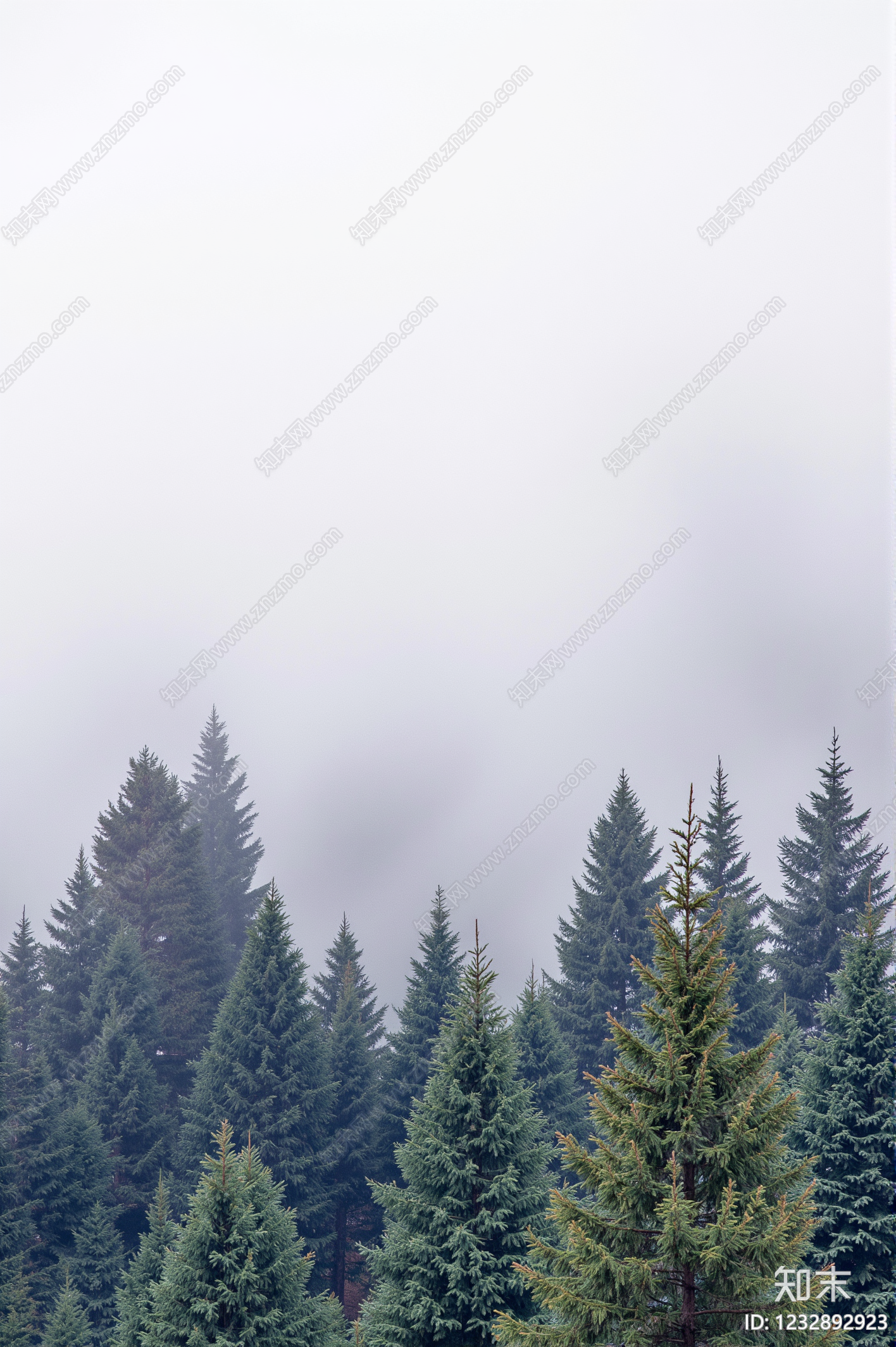 现代其它外景贴图下载【ID:1232892923】
