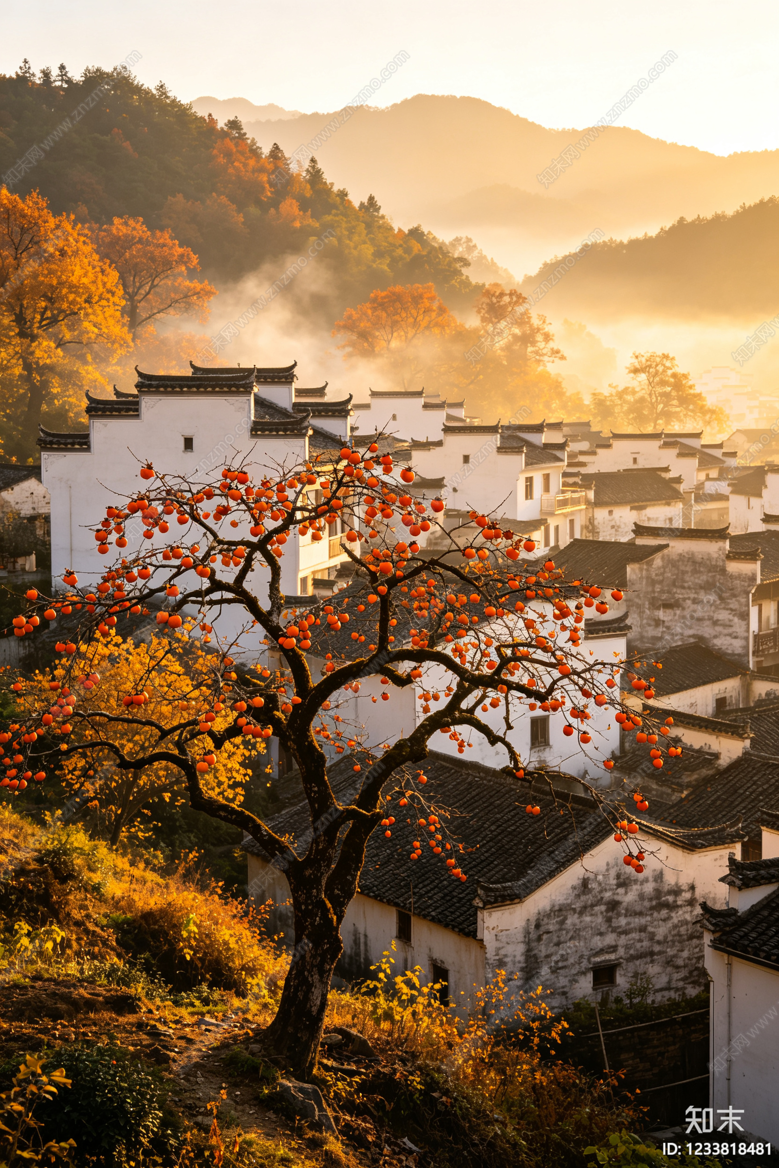 风景高清贴图材质