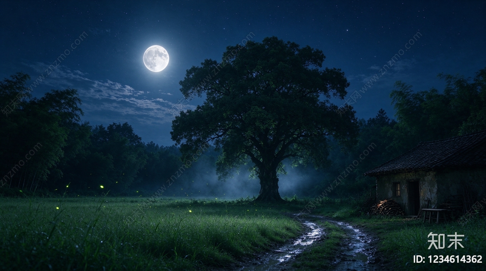 夜晚高清贴图材质