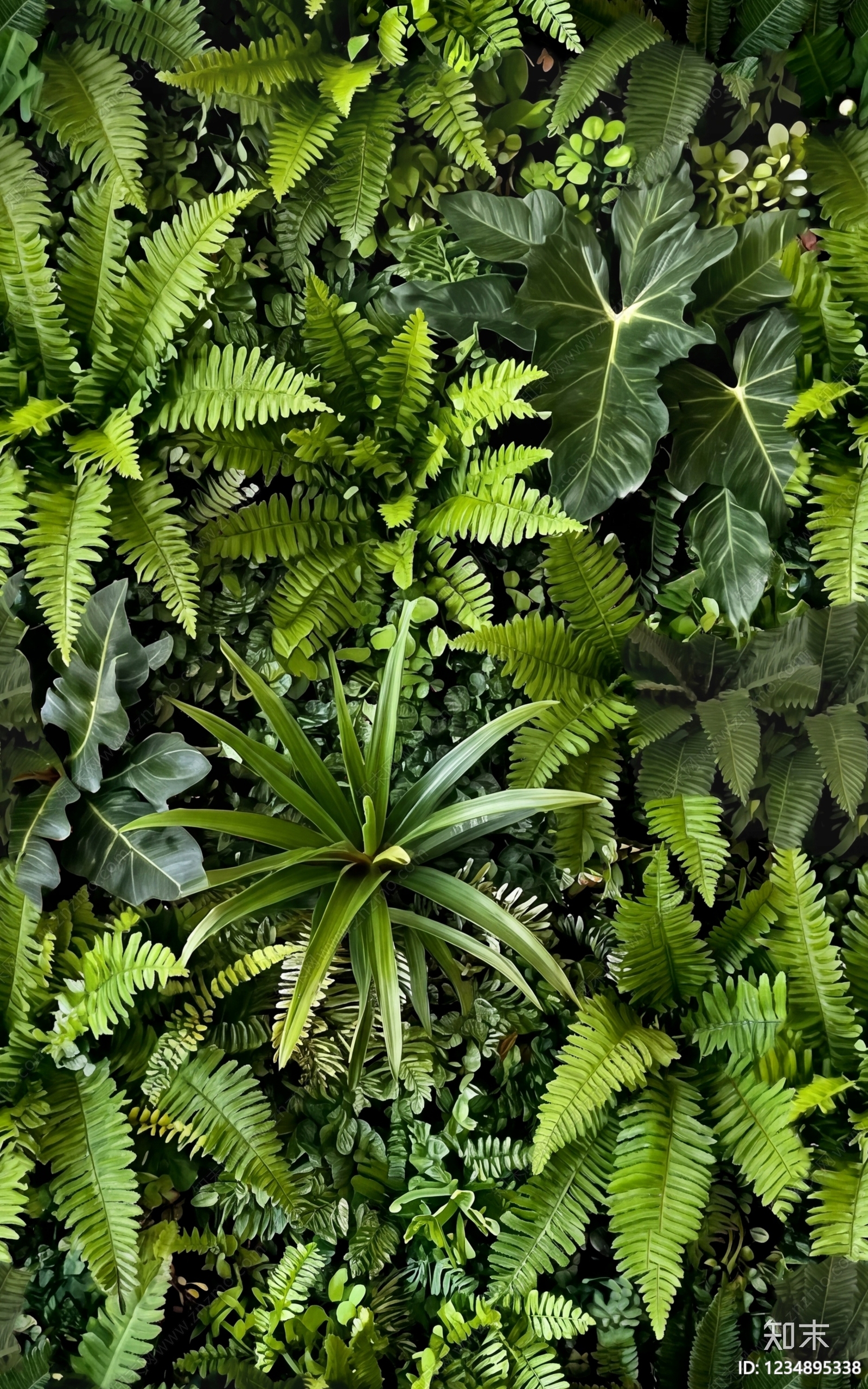 绿植墙高清贴图材质