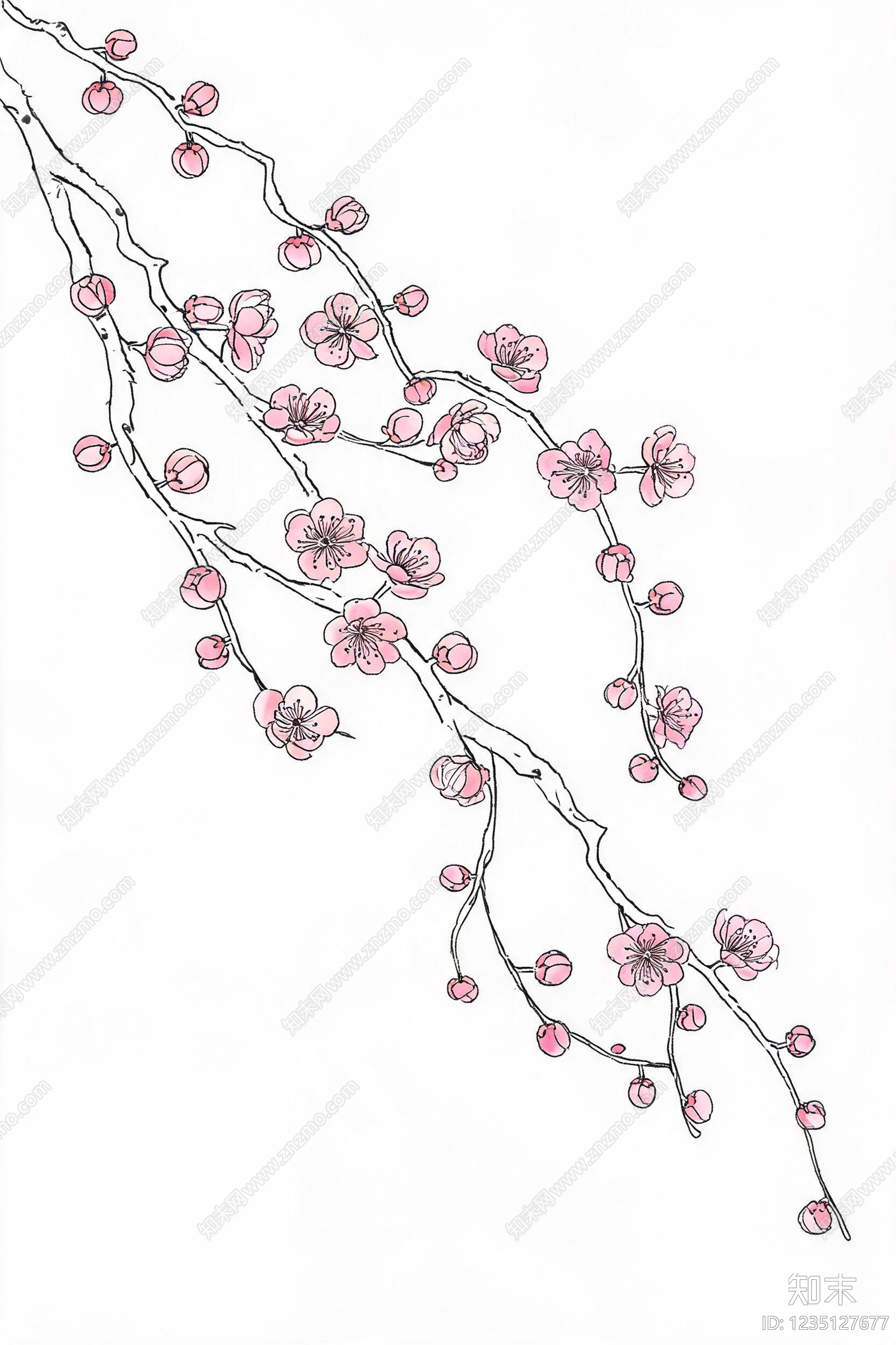 花鸟壁纸高清贴图材质
