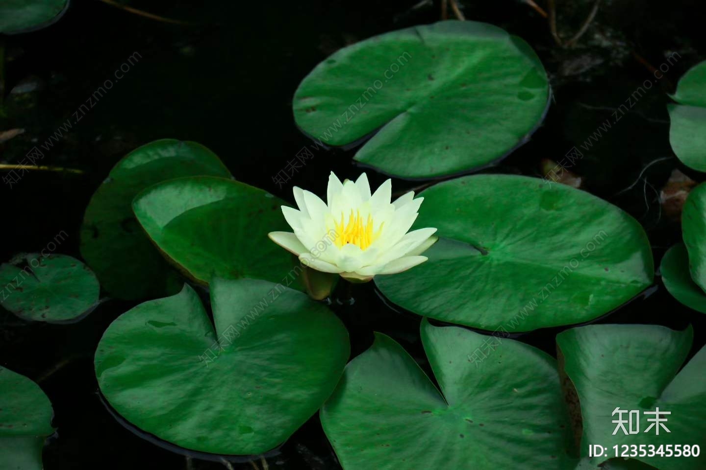 其他水面贴图下载【ID:1235345580】