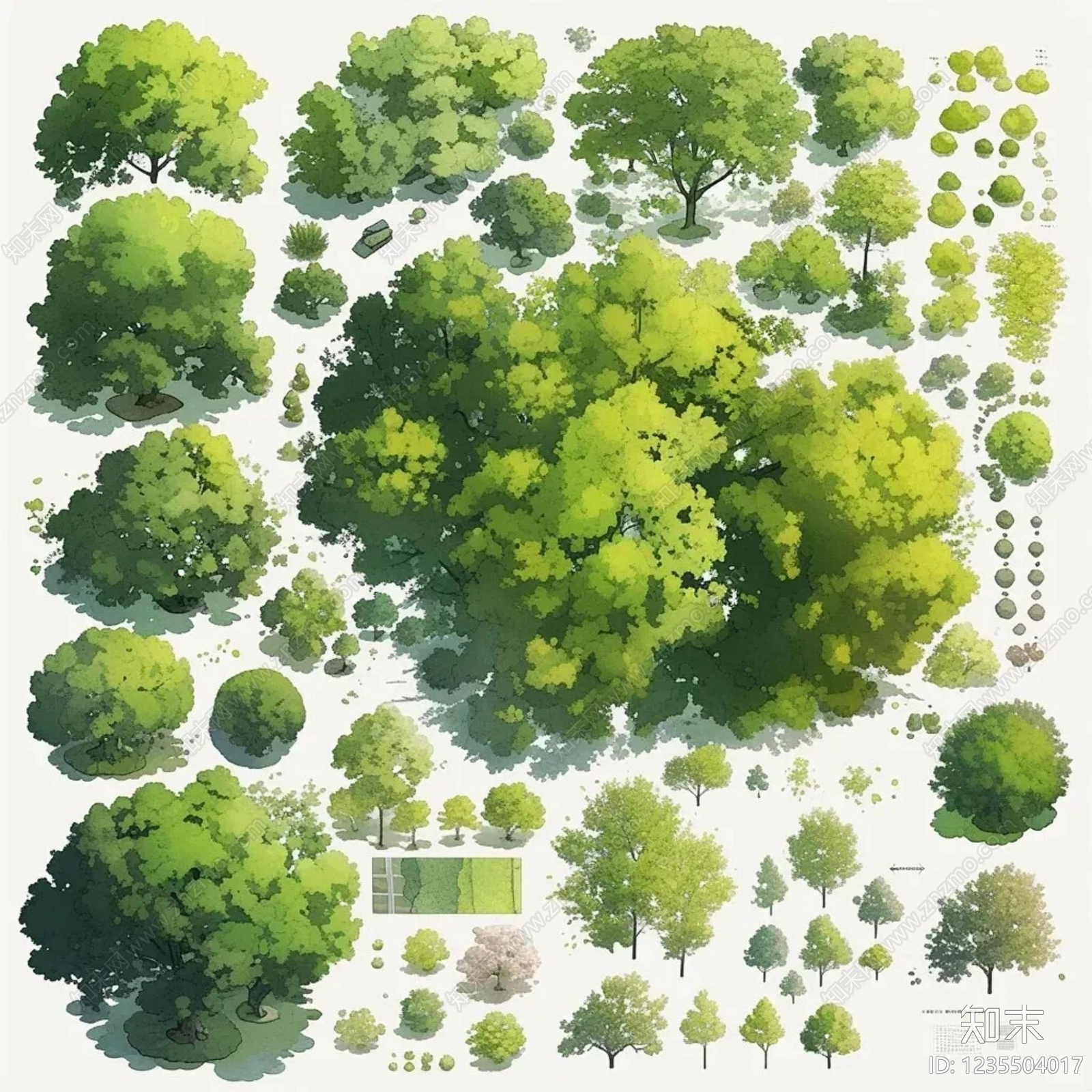 现代树木贴图下载【ID:1235504017】