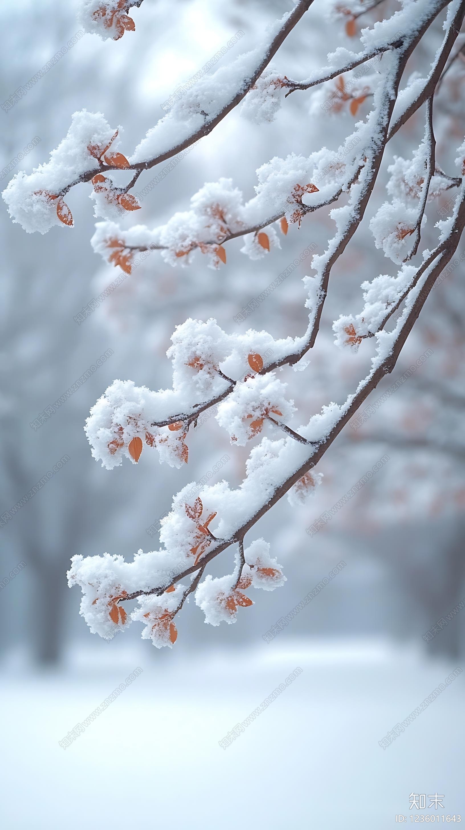 雪景高清贴图材质