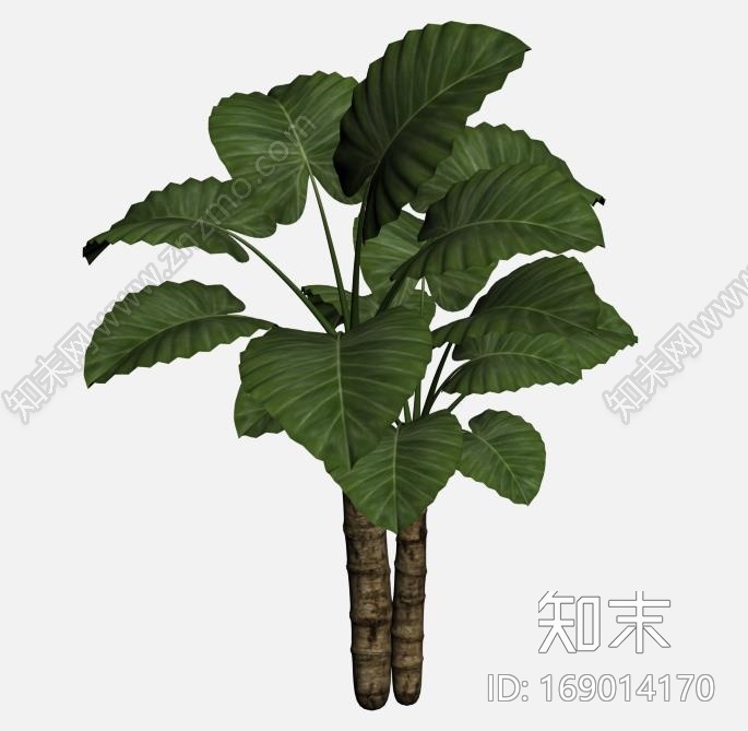 模型树CG模型下载【ID:169014170】