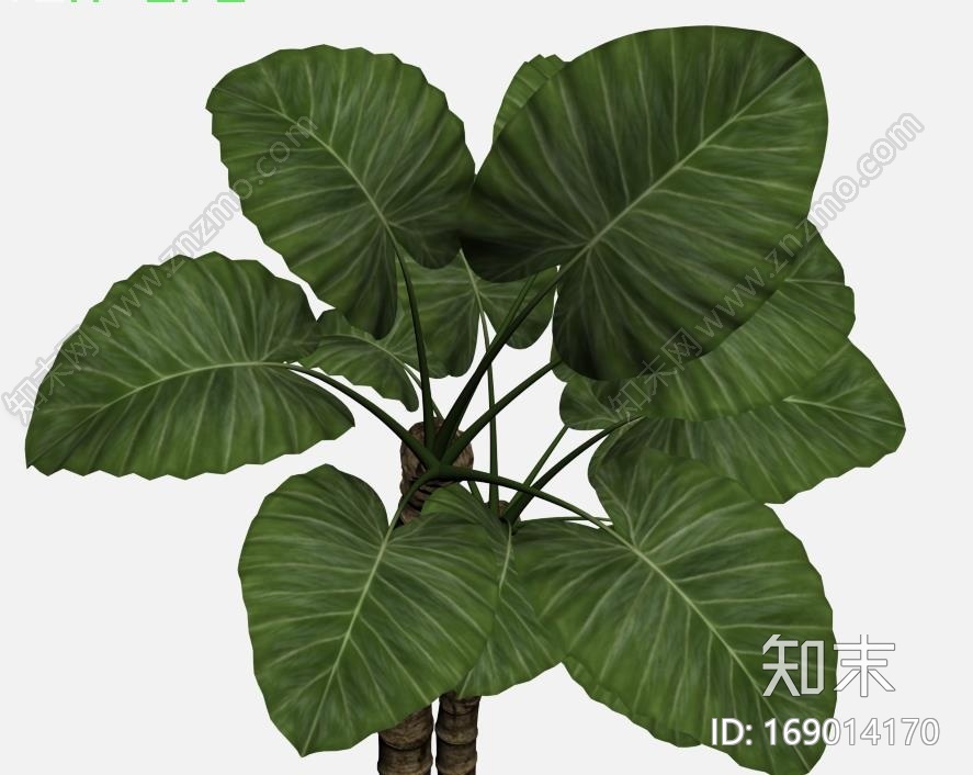 模型树CG模型下载【ID:169014170】