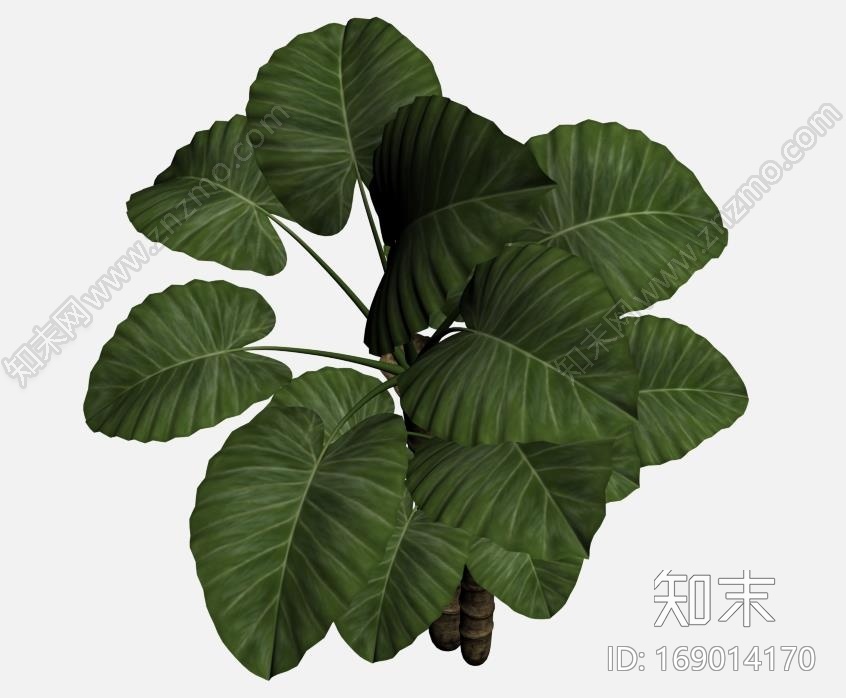 模型树CG模型下载【ID:169014170】