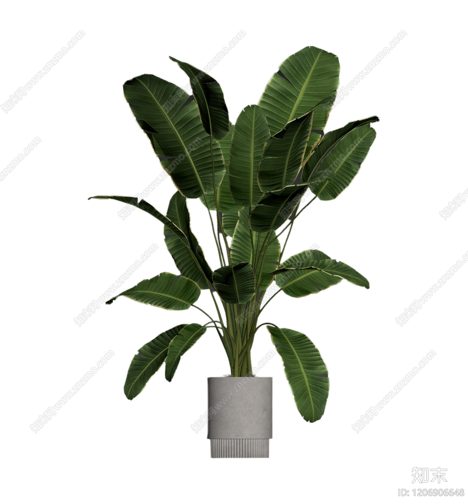 盆栽植物装饰3D模型下载【ID:1206906648】