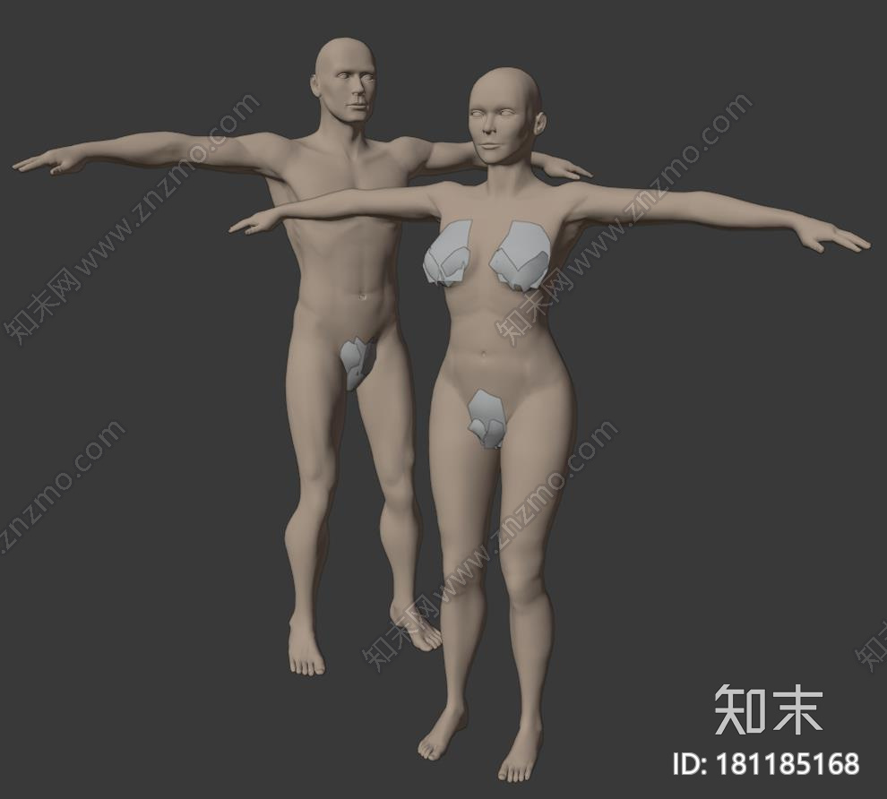 男女人体白模CG模型下载【ID:181185168】
