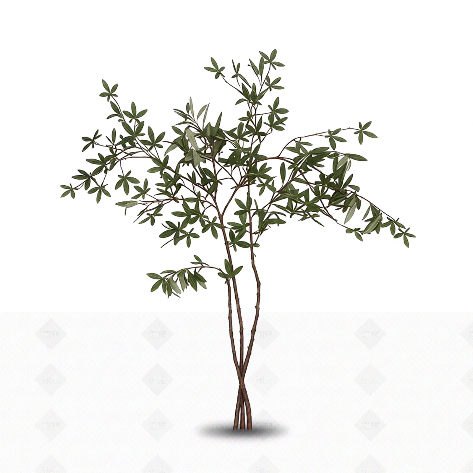 小型仿真植物枝条3D模型下载【ID:1206181534】