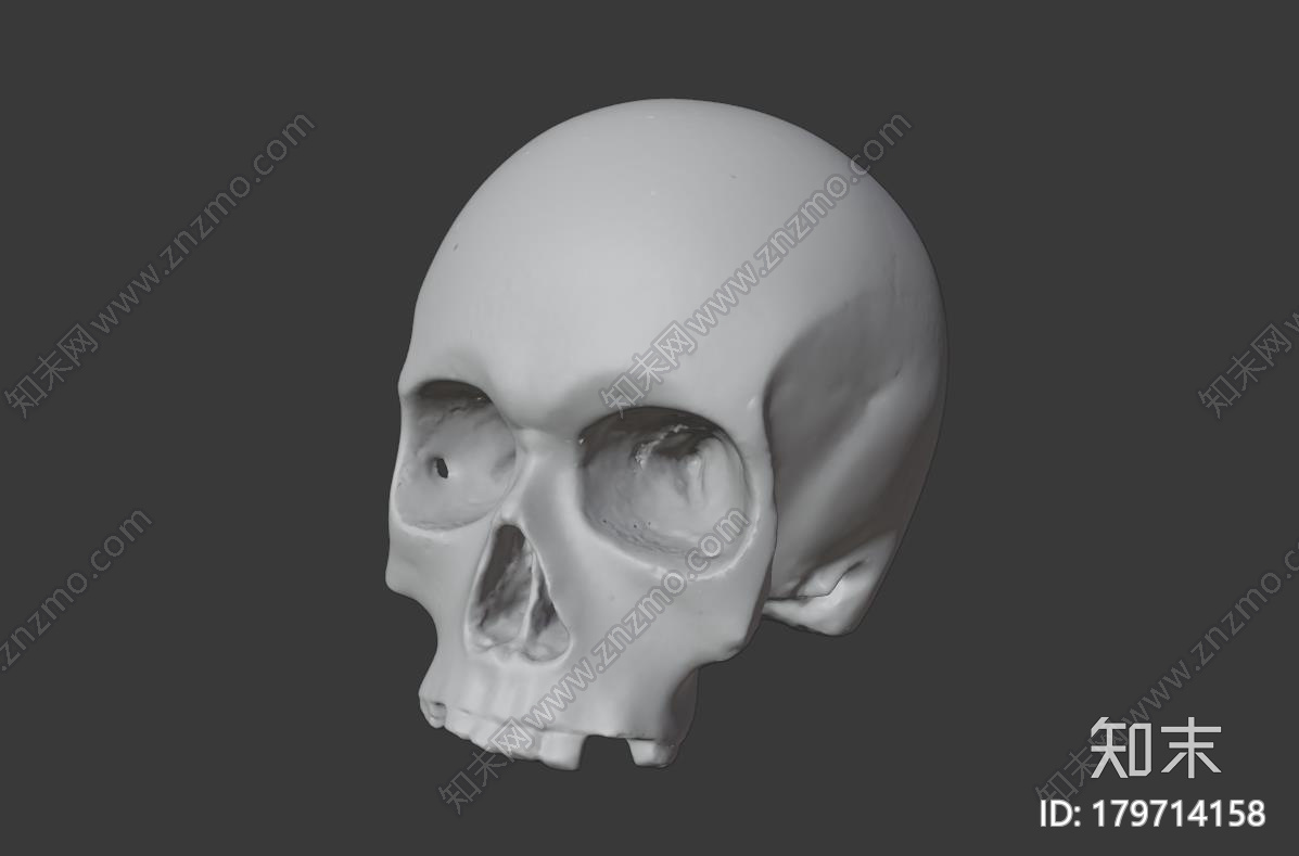 人类头骨骷髅CG模型下载【ID:179714158】