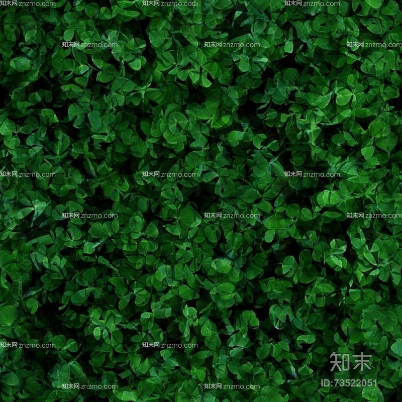 灌木贴图下载【ID:73522051】