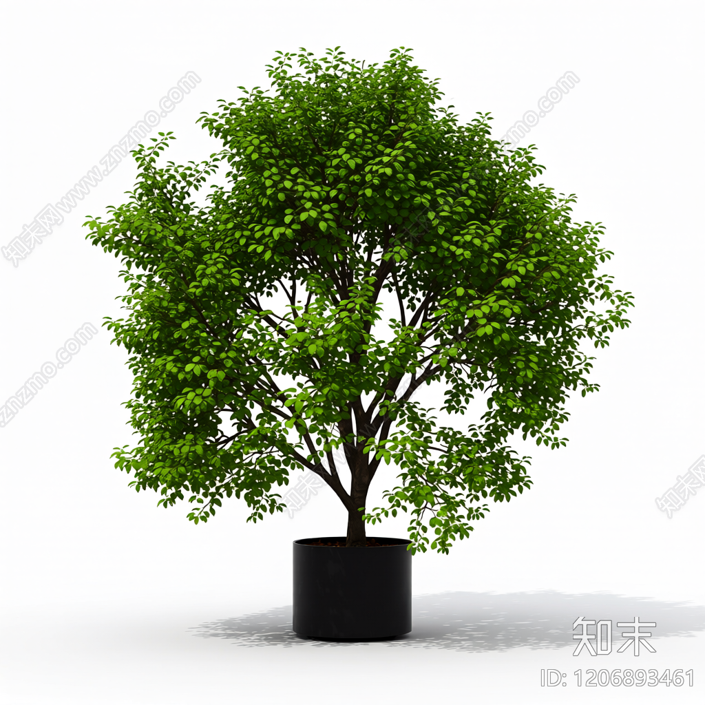 盆栽树带花盆3D模型下载【ID:1206893461】