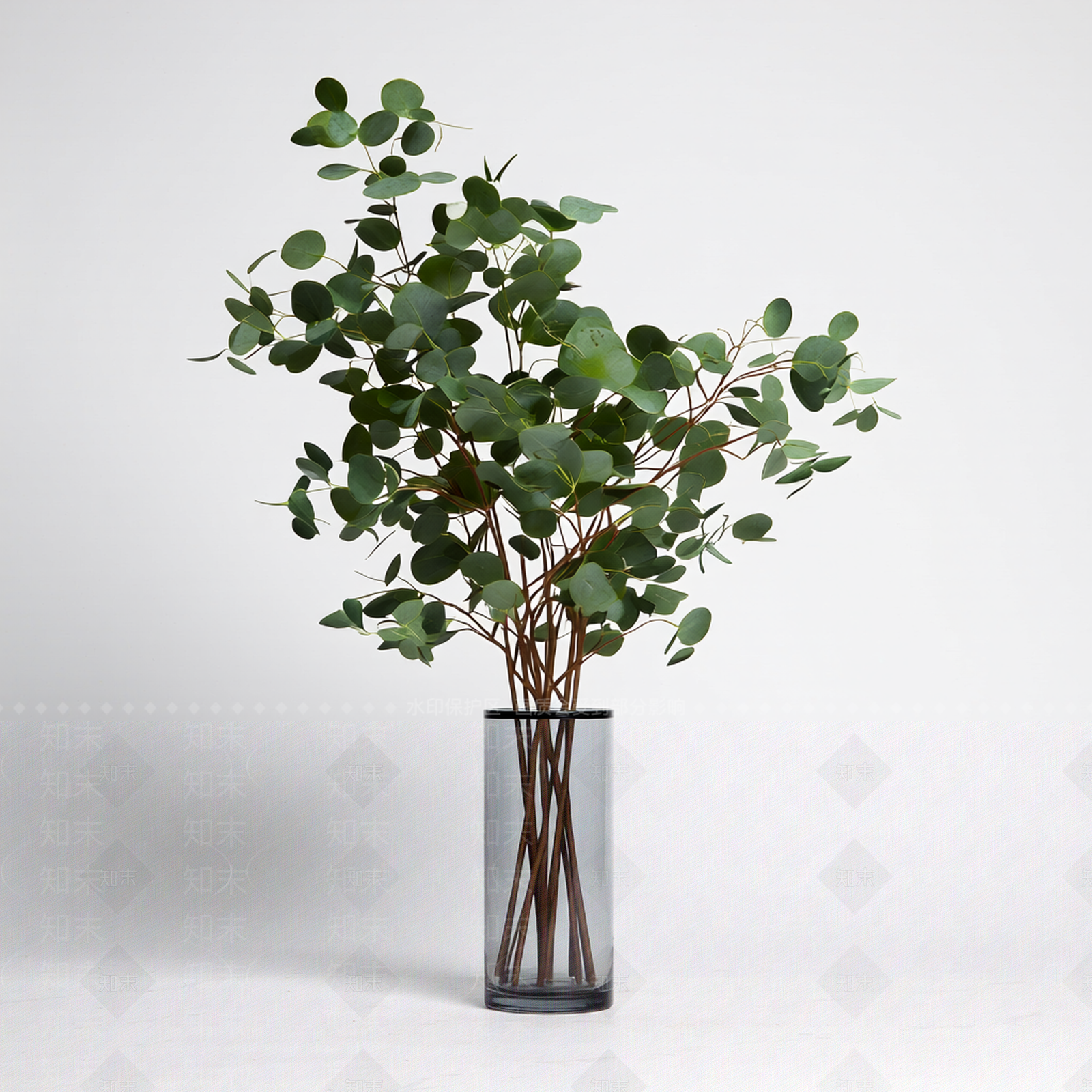 带盆圆形叶植物3D模型下载【ID:1206192173】