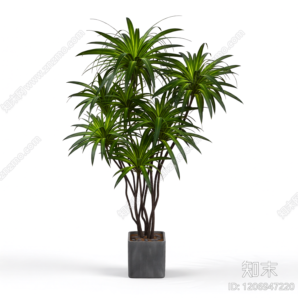 盆栽植物组合3D模型下载【ID:1206947220】
