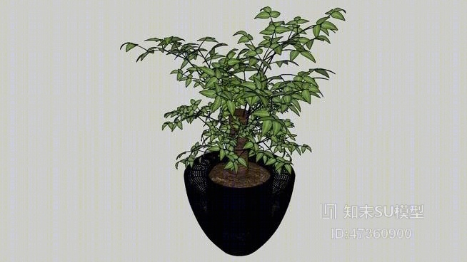 盆栽SU模型下载【ID:117868838】