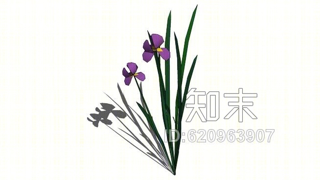 杂种鸢尾SU模型下载【ID:620963907】