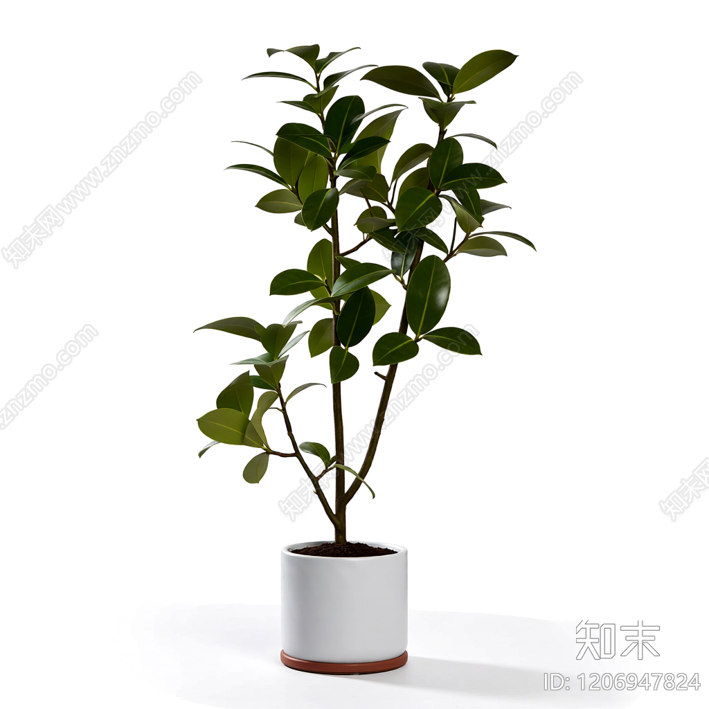 盆栽植物带花盆3D模型下载【ID:1206947824】