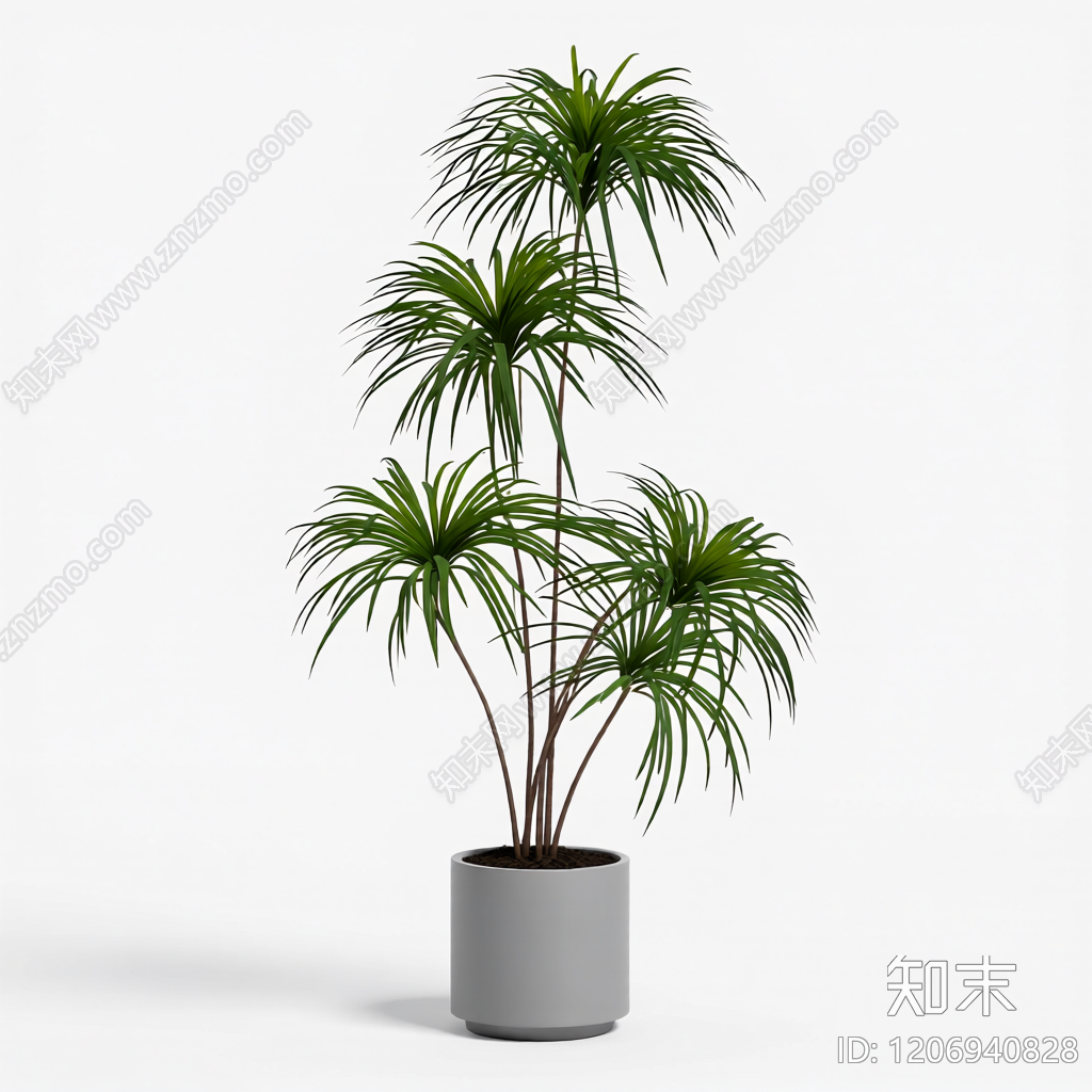 盆栽植物组合3D模型下载【ID:1206940828】