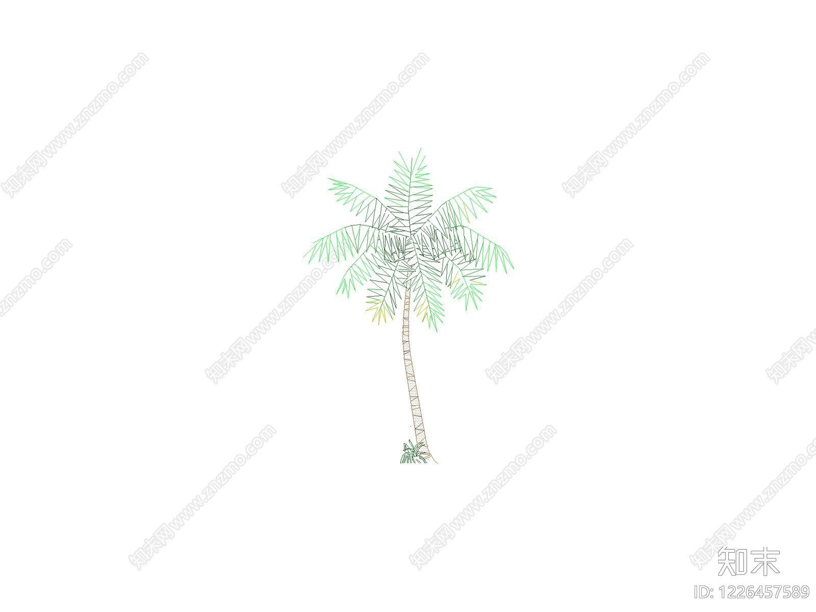 乔木种植CAD图纸