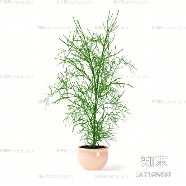 绿色盆栽3D模型下载【ID:31990883】