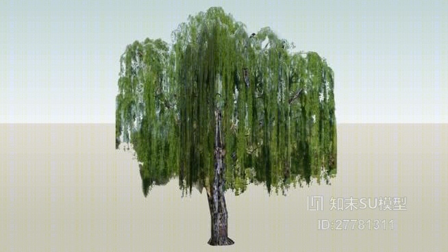 树SU模型下载【ID:27781311】