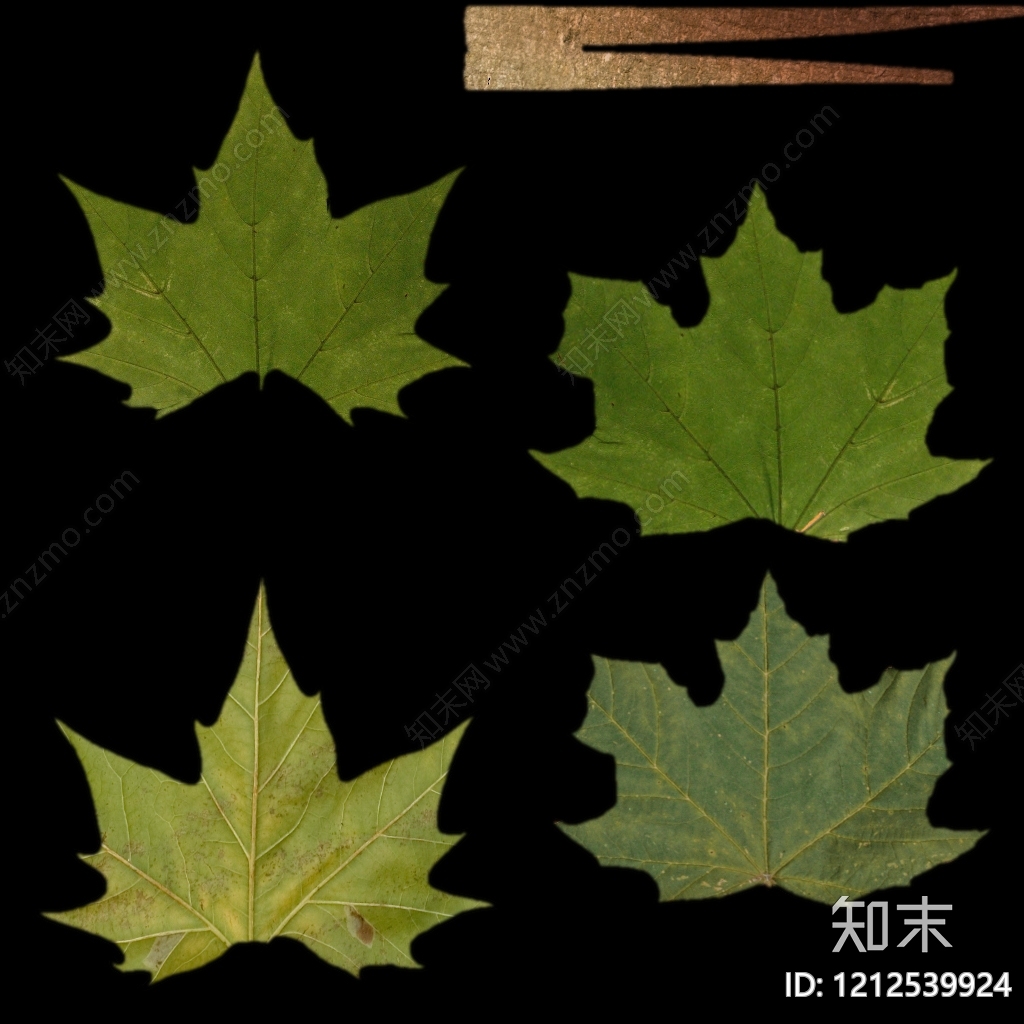 叶片纹理贴图下载【ID:1212539924】