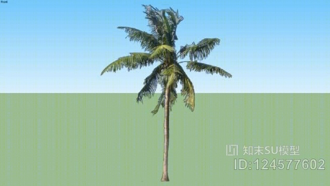 棕榈树SU模型下载【ID:124577602】