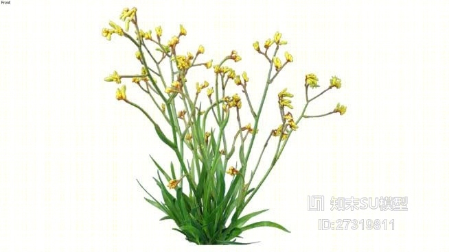 黄色的花SU模型下载【ID:27319811】