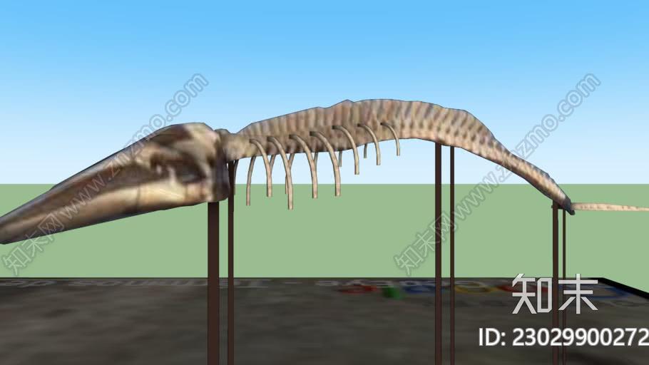 鲸鱼骨架在卡门盐沼SU模型下载【ID:1161899160】