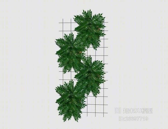 精品免费室内墙面盆栽SU模型下载【ID:26697719】