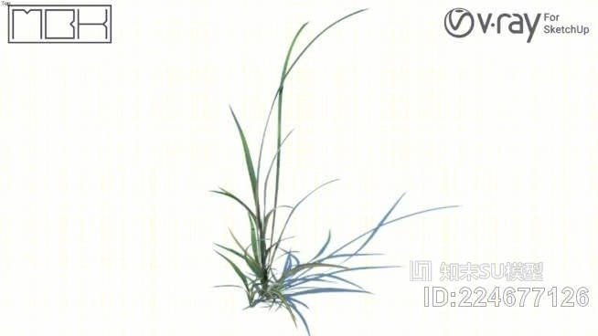 草，高聚合，VRY准备（064）SU模型下载【ID:224677126】