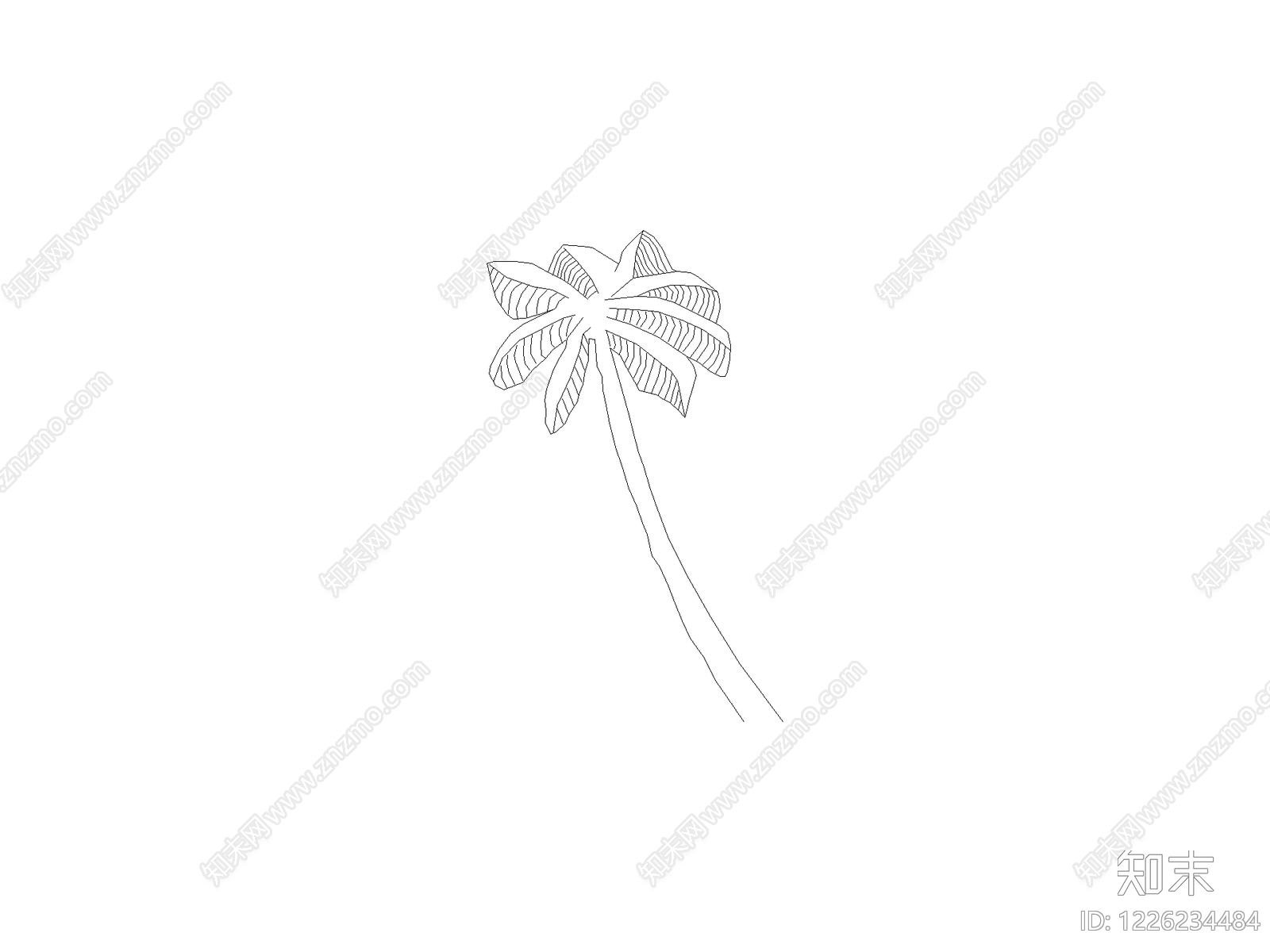 现代乔木种植CAD图纸