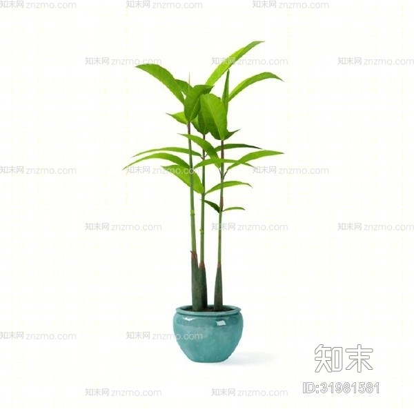 绿色盆栽3D模型下载【ID:31981581】