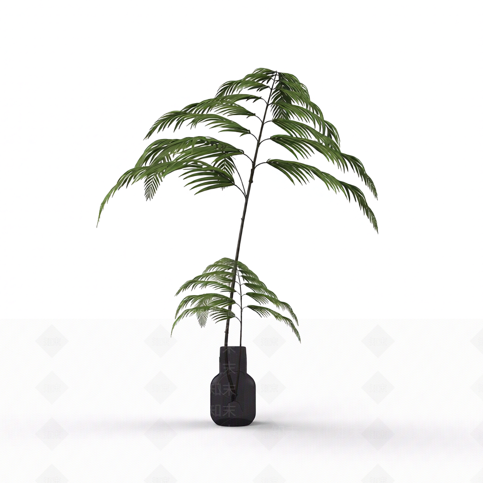 带盆绿色蕨类植物3D模型下载【ID:1206194455】